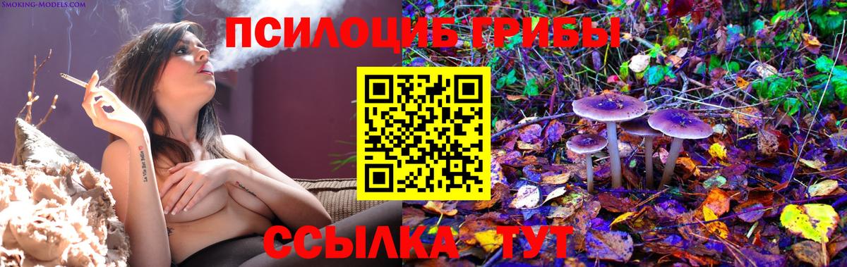 Галлюциногенные грибы Psilocybe  Вход с VPN  Нефтекумск  Галлюциногенные грибы мицелий 