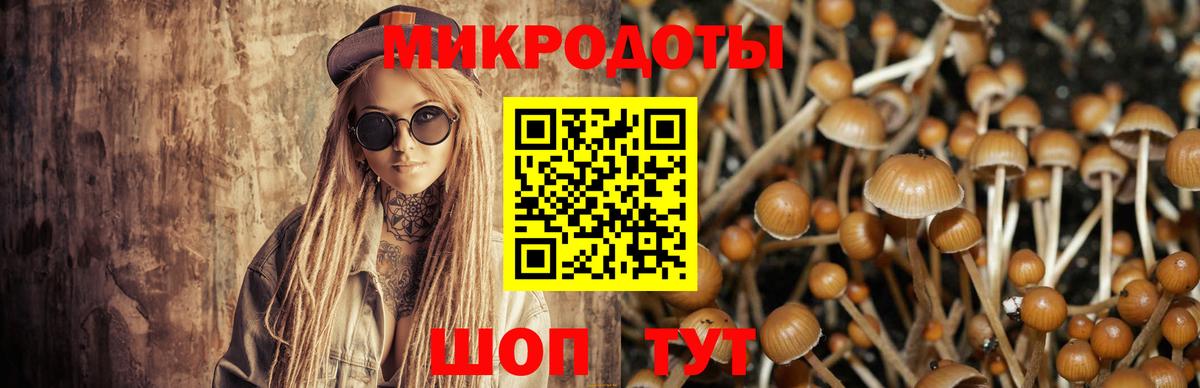 Псилоцибиновые грибы Magic Shrooms Нефтекумск